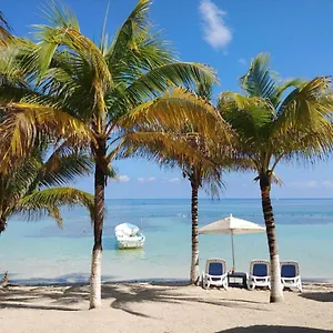 https://inkanto-luxury-hotel.quintano-roohotels.com